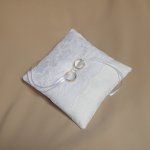 DSCN6565